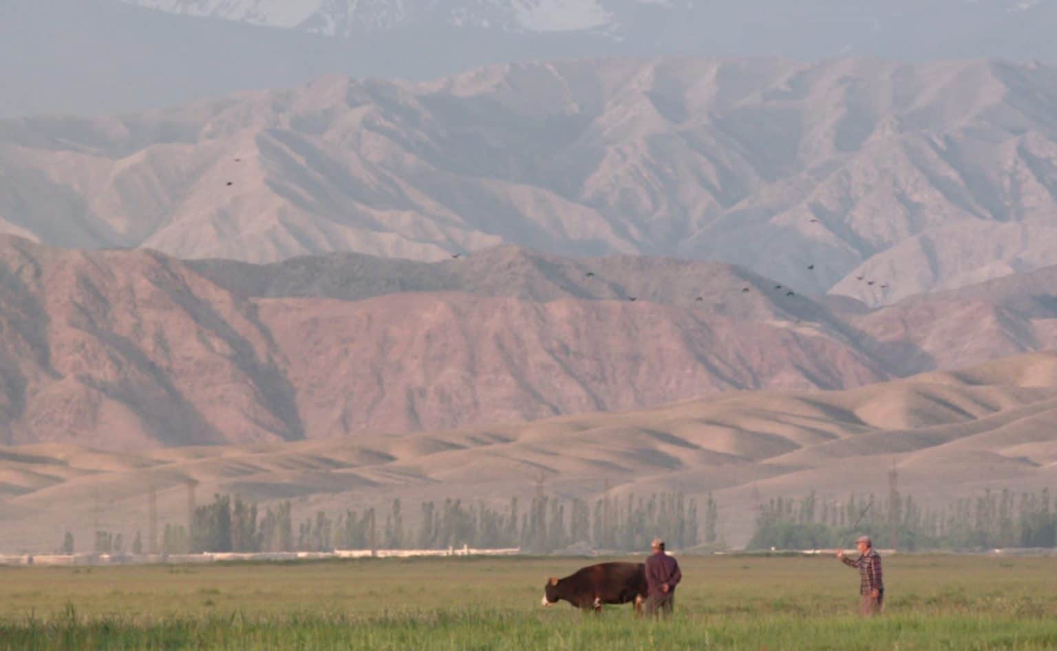 Admiral Tchumakov-3 - Passione Cinema